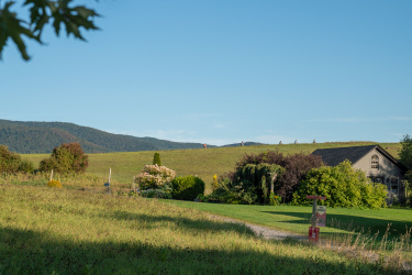 A scenic view of a grassy hillside with cyclists riding along the top, framed by mountains in the background. In the foreground, a neatly kept yard features colorful shrubs and a cozy house. A sign indicating a trail entrance can be seen near the pathway, blending nature with recreational activities. Kingdom Trails mountain bike trail.