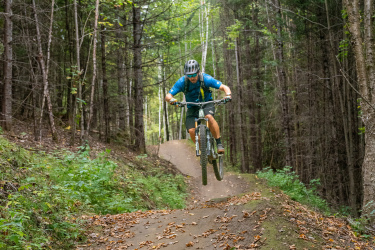 A mountain biker jumps off a dirt ramp on a forest trail, surrounded by trees with green leaves and fallen autumn leaves scattered on the ground. Kingdom Trails mountain bike trail.