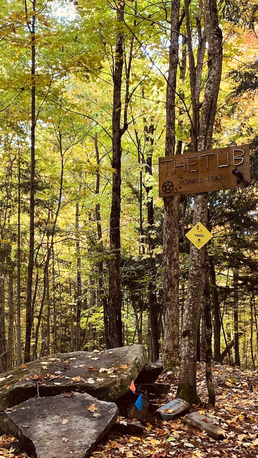 A wooden sign labeled "THE TUB" indicating an advanced trail, surrounded by trees with autumn foliage. A large rock formation is in the foreground, and colored flags are visible near the trail marker. The Tub mountain bike trail.