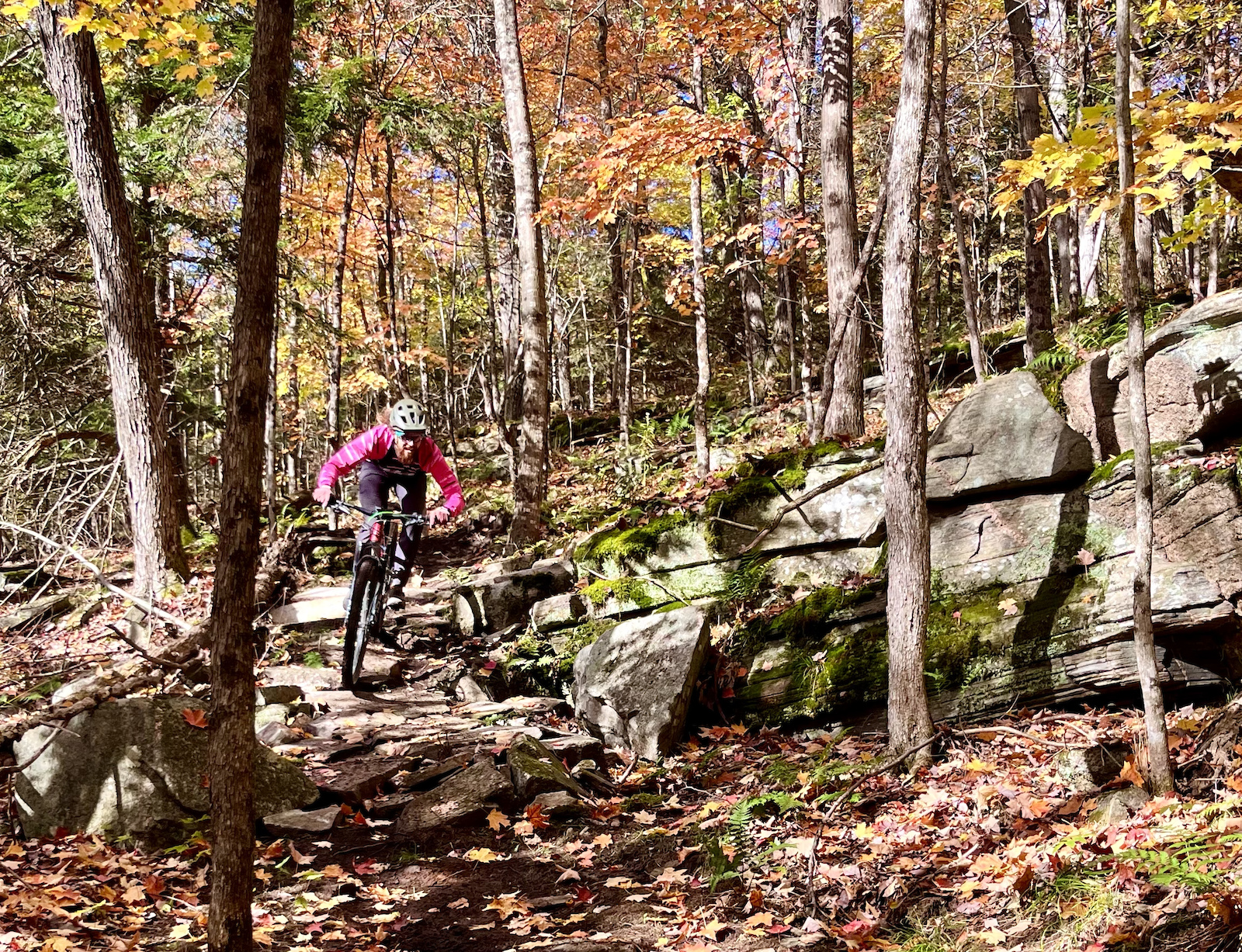 A mountain biker descending a rocky trail surrounded by colorful autumn foliage, with trees in the background and fallen leaves on the ground. Extra Credit mountain bike trail.