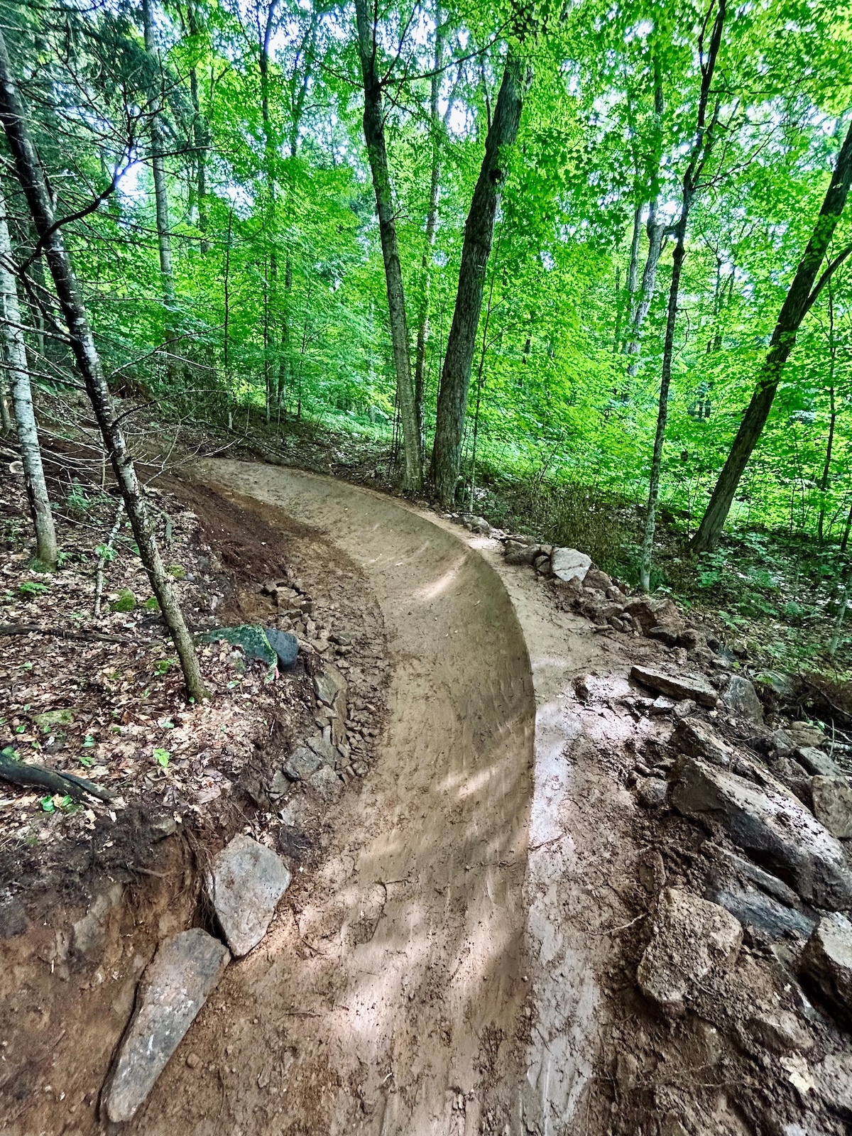 A dirt trail curving through a lush green forest, surrounded by tall trees and rocks, with recent tire tracks visible on the path. Colourblind mountain bike trail.