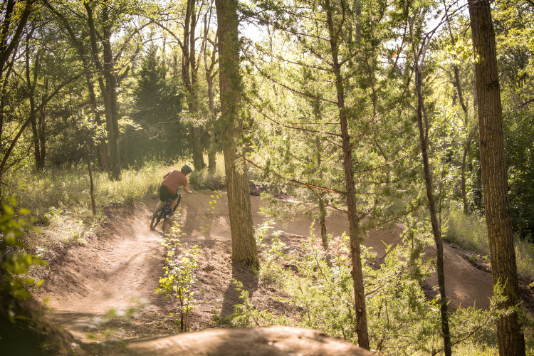 A mountain biker navigates a curved dirt trail surrounded by lush green trees, kicking up dust as sunlight filters through the leaves, creating a warm, natural atmosphere.
