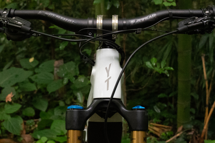 Mountain bike handlebars and fork viewed from the front, with a white frame displaying the "YT" logo. The background features lush green foliage, suggesting an outdoor setting.