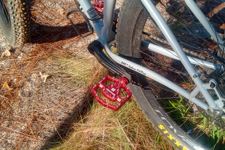 Close-up of a mountain bike's pedal and crank, featuring a red pedal resting on a bed of pine needles and grass. The bike frame is silver, and the tire shows signs of off-road use.