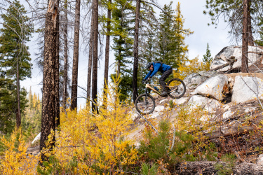 A mountain biker riding over rocky terrain in a forested area, surrounded by tall trees and autumn foliage in shades of yellow and green. The rider is wearing a blue jacket and a helmet, displaying skill as they navigate the rocky path. Loup Loup Ski Bowl mountain bike trail.