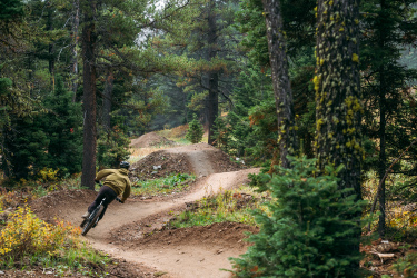A mountain biker maneuvering along a winding dirt trail through a dense forest, surrounded by tall trees and autumn foliage. The rider is leaning into a turn, showcasing their biking skills on a well-maintained dirt path. Gnomadic mountain bike trail.