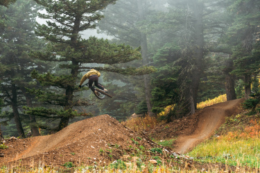 A mountain biker performing a jump on a dirt ramp in a forested area, surrounded by tall trees and fog. The scene captures the excitement of outdoor biking in a natural setting. Gnomadic mountain bike trail.