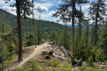 A mountain biker in a red shirt jumps off a rock on a forest trail, surrounded by tall trees and rolling green hills under a partly cloudy sky. Dust kicks up from the trail as the biker navigates the terrain. Loup Loup Ski Bowl mountain bike trail.