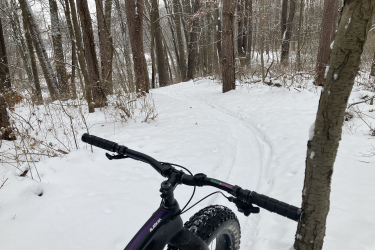 A fat bike rests on a snowy trail, surrounded by tall trees in a winter forest. Fresh snow covers the ground, with tire tracks visible leading into the distance. The scene conveys a peaceful, wintry atmosphere, perfect for outdoor adventure. Beach Ridge Singletrack mountain bike trail.