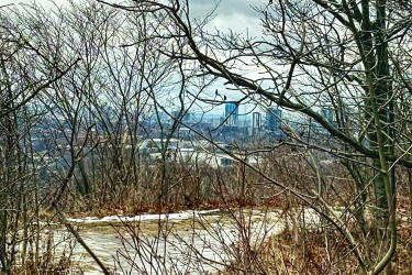 A winding path cuts through a landscape of bare trees and shrubs, with a view of a distant bridge visible through the branches, set against a cloudy sky. Iroquois Heights mountain bike trail.