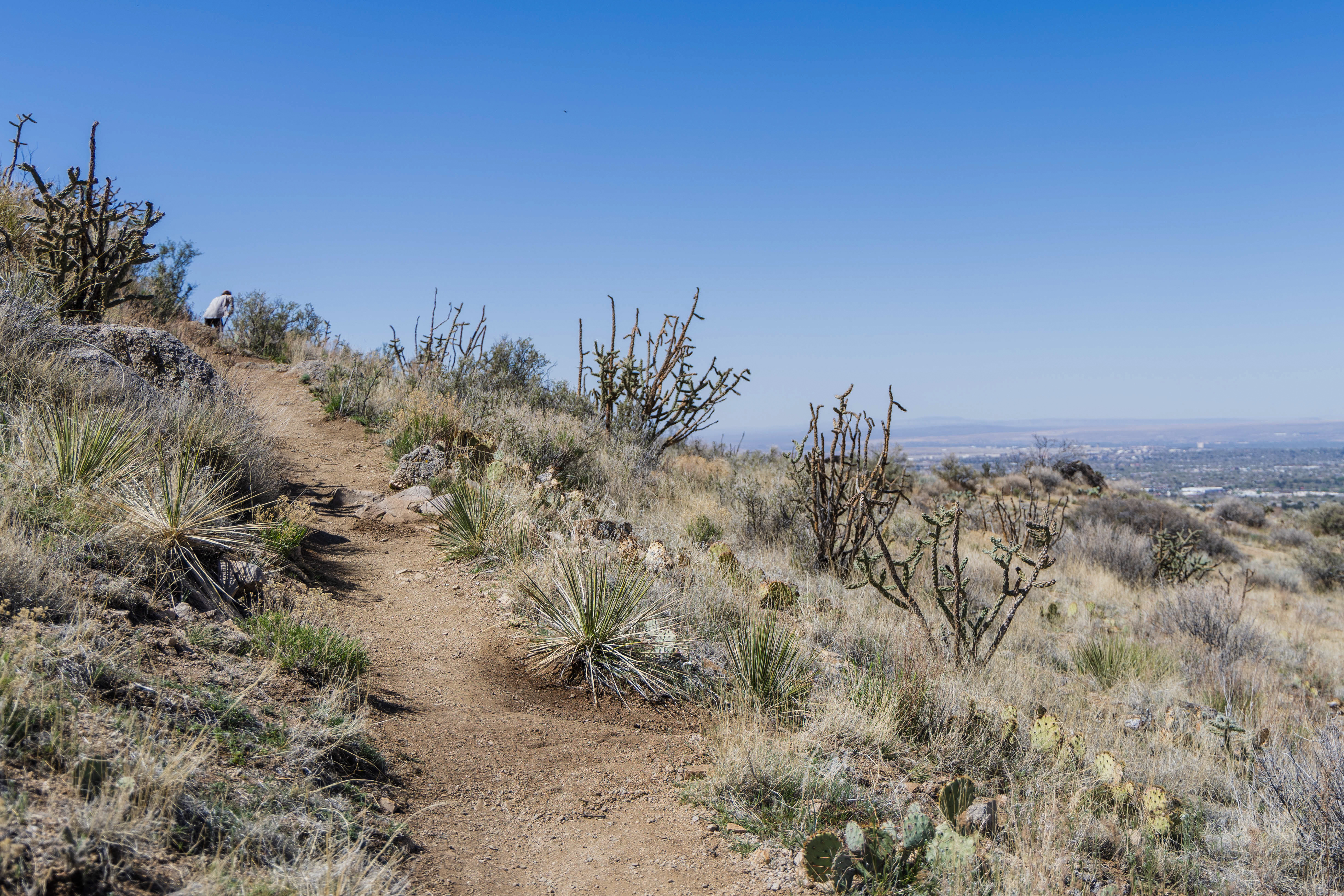 Volcano View Trail trail photo