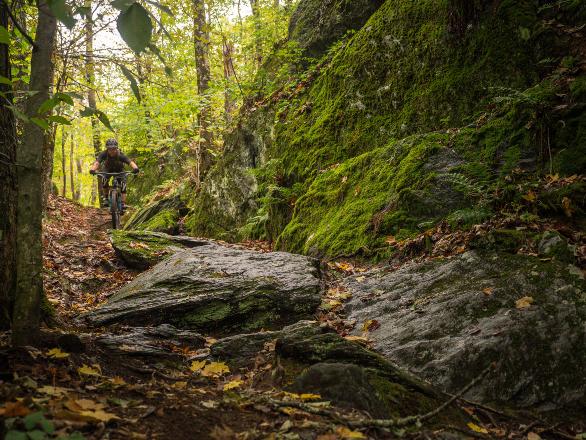 A mountain biker navigating a narrow, rocky trail surrounded by lush green foliage and moss-covered rocks, under a canopy of trees with scattered autumn leaves on the ground.