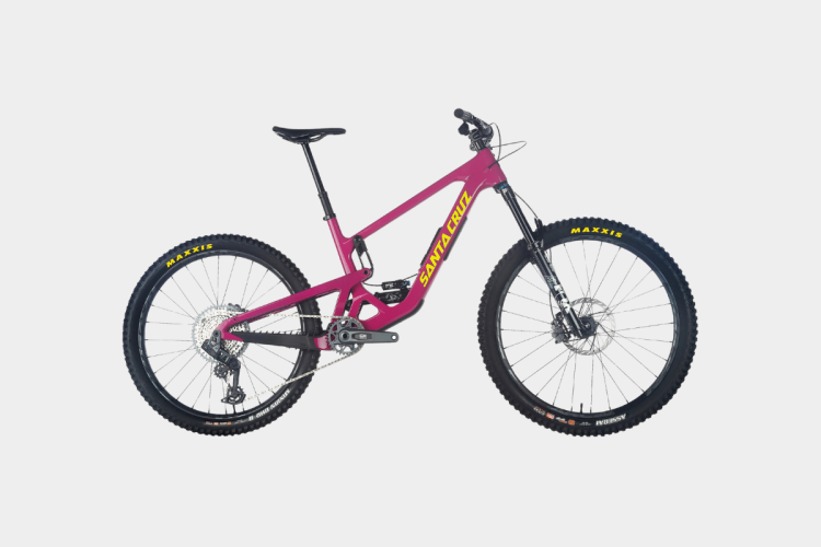 Santa Cruz Bronson