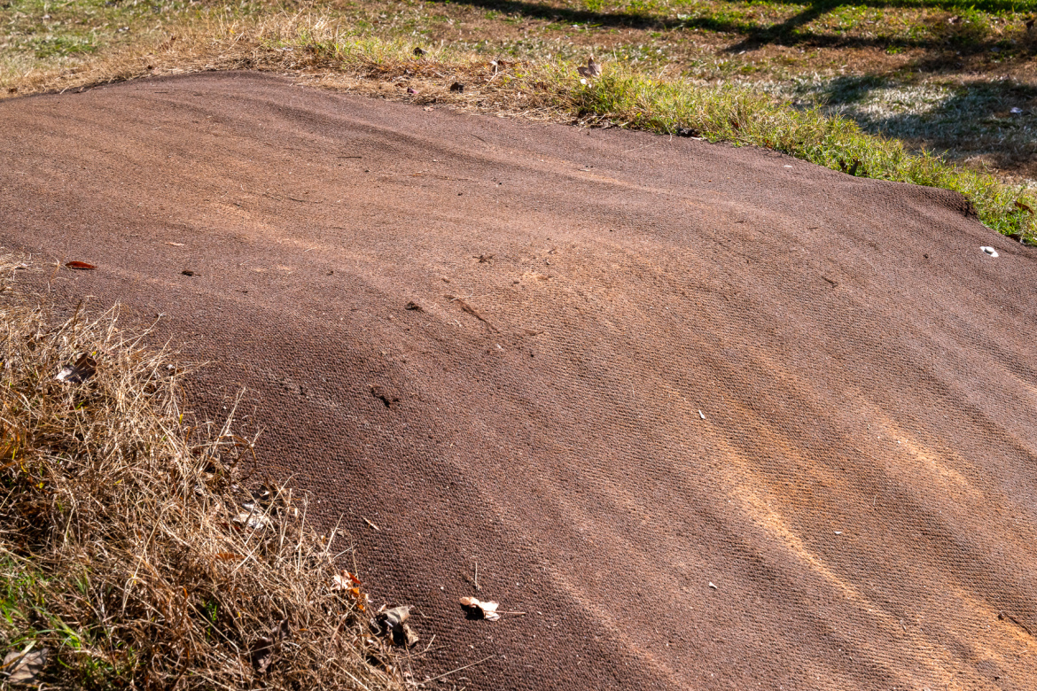 A brown, textured surface resembling packed earth or mulch, with patches of dry grass and fallen leaves on the edges. The background features a grassy area with soft lighting, suggesting a natural outdoor setting.