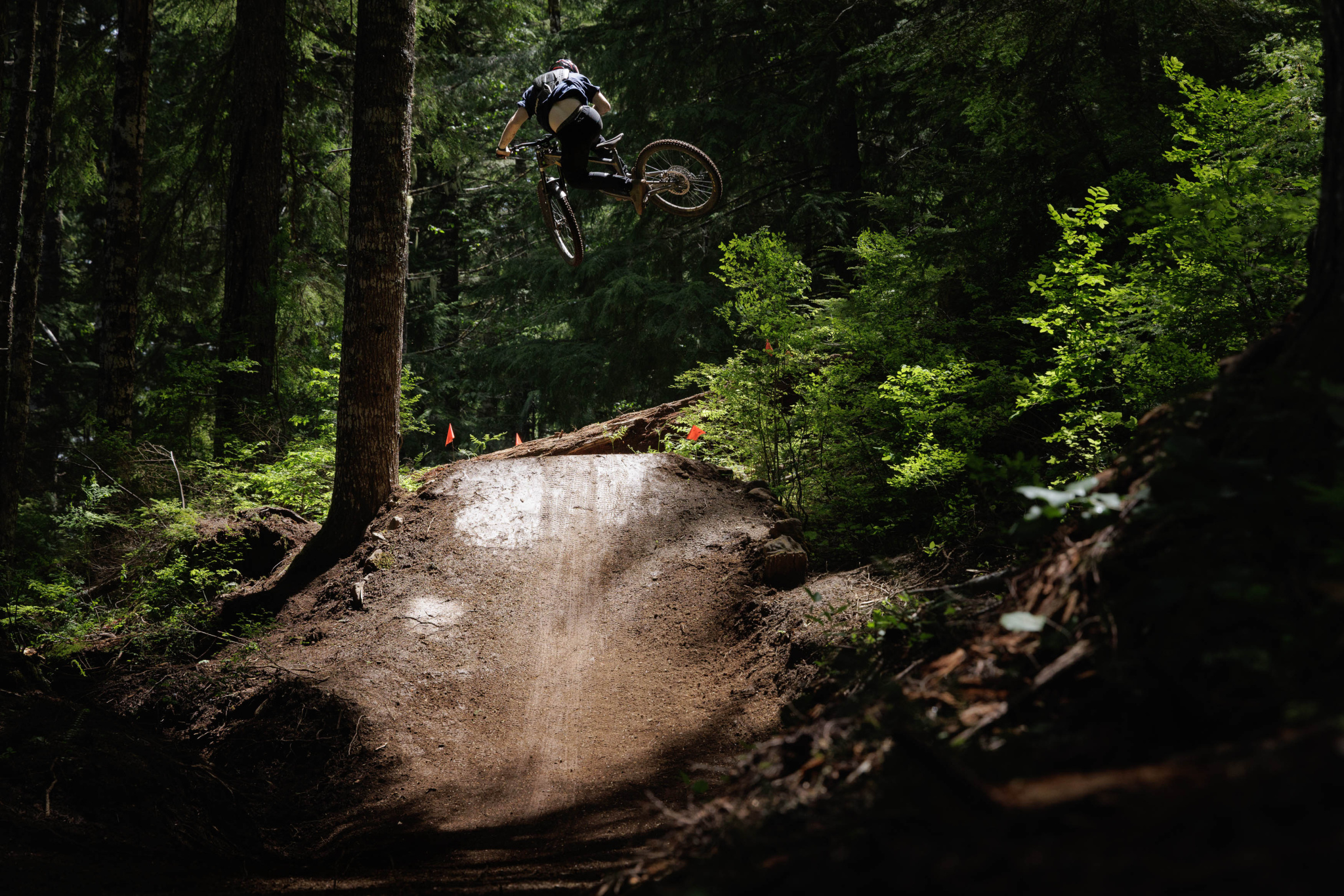 Fear and Loaming, Gnarstow, and Bat Country are Oregon's newest must ...