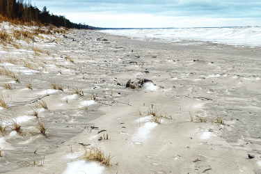 A sandy beach with gentle waves lapping at the shore, lined with sparse tufts of grass. The sky is overcast with a mix of clouds, and a wooded area can be seen in the background, creating a serene coastal atmosphere. Pinery Provincial Park mountain bike trail.
