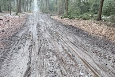 A muddy trail winding through a misty forest, with tire tracks visible in the wet ground and fallen leaves scattered along the edges. Trees line the path, creating a serene but rustic atmosphere. Zwarte Dennen 10 km mountain bike trail.