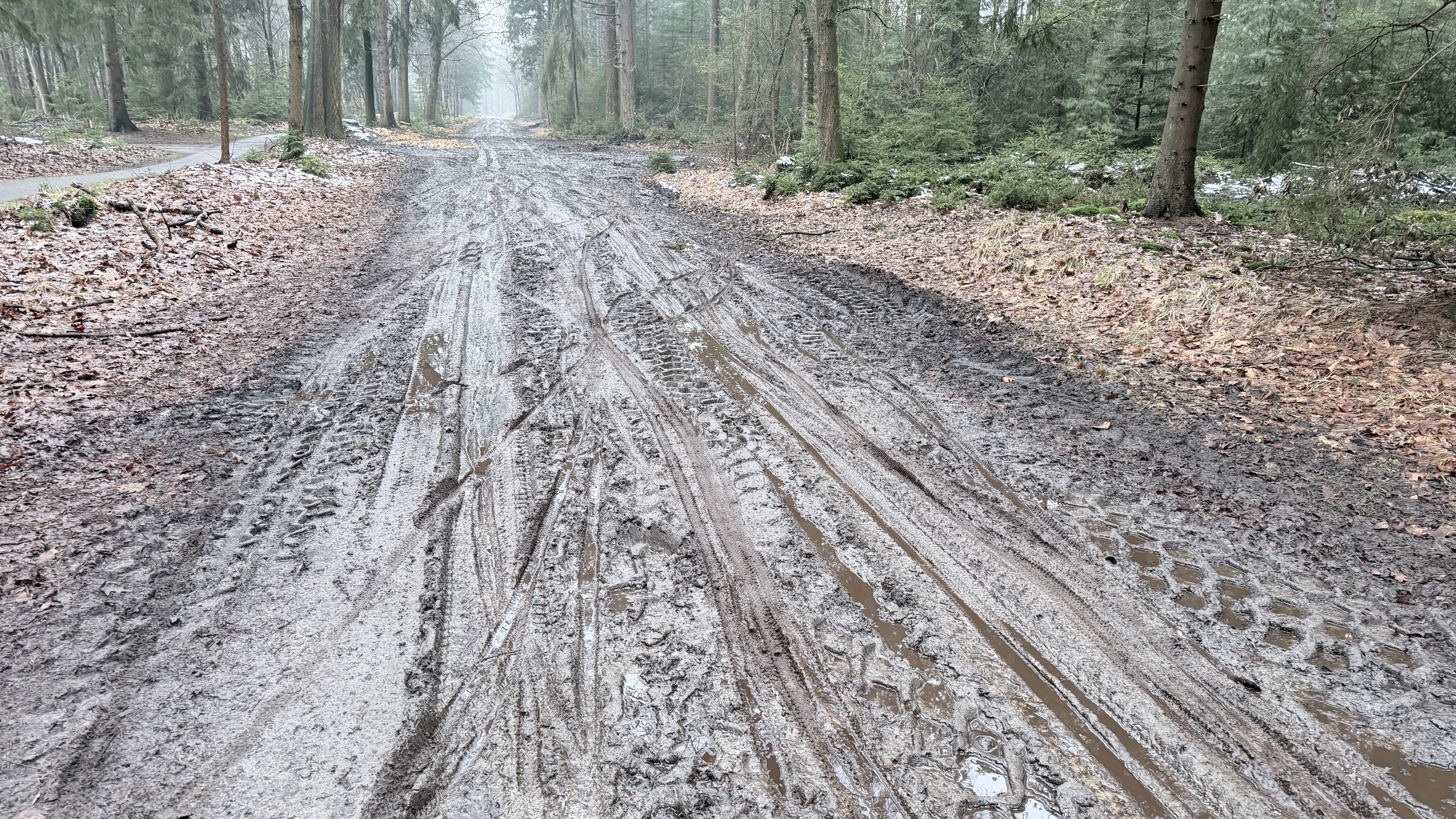 A muddy trail winding through a misty forest, with tire tracks visible in the wet ground and fallen leaves scattered along the edges. Trees line the path, creating a serene but rustic atmosphere. Zwarte Dennen 10 km mountain bike trail.