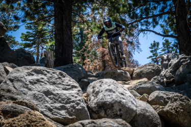 A mountain biker navigating rocky terrain in a forested area, captured mid-jump with trees and a clear blue sky in the background. Sky Tavern Resort mountain bike trail.
