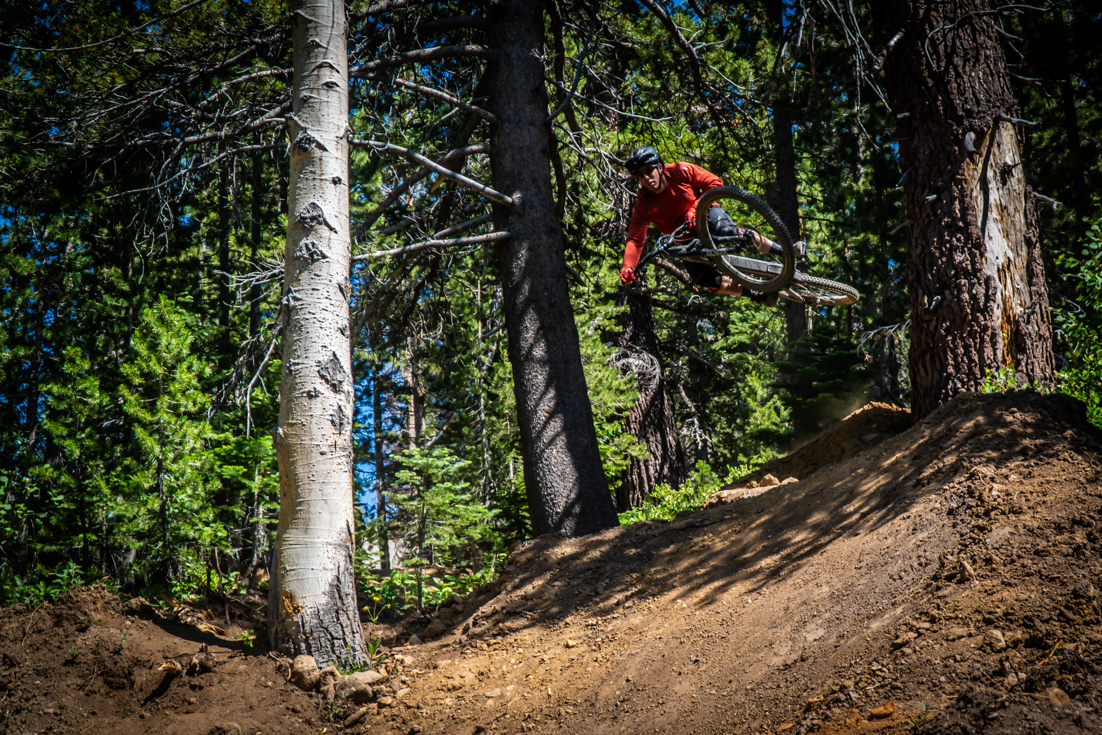 A mountain biker mid-air performing a jump on a dirt trail surrounded by tall trees and greenery in a forest setting. The rider is clad in a red jersey and black shorts, wearing a helmet for safety. Sunlight filters through the trees, illuminating the scene. Sky Tavern Resort mountain bike trail.