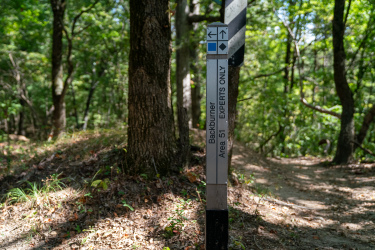 Signpost indicating the "Backburner" trail, labeled "Area 51 - EXPERTS ONLY," situated in a wooded area with trees and underbrush visible in the background. The sign features directional arrows and icons for trail guidance. Craighead Forest Park mountain bike trail.