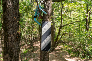 A whimsical blue frog figure hanging from a metal sign on a tree along a forest trail, with another directional sign visible in the foreground. The background features lush green foliage and a winding dirt path. Craighead Forest Park mountain bike trail.