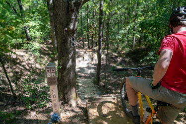 A person in a red shirt and gray shorts sits on a mountain bike at an elevated platform on a wooded trail. In the foreground, a sign labeled "EXPERTS ONLY" stands beside a tree, while another sign with directional arrows is visible on the tree trunk. The trail descends into a forested area with sunlight filtering through the trees. Craighead Forest Park mountain bike trail.