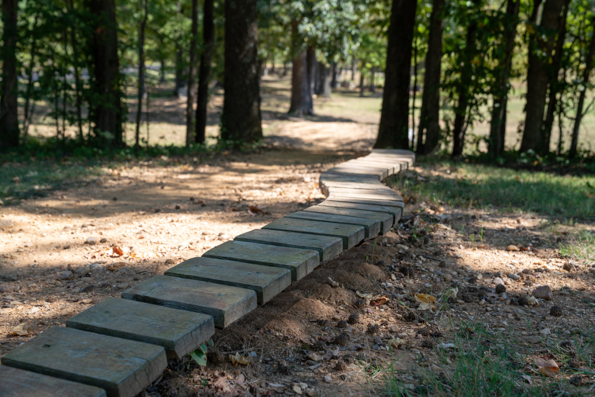  Craighead Forest Park mountain bike trail.