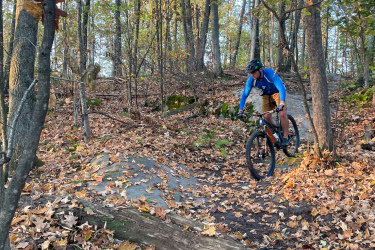 A mountain biker navigates a rocky trail surrounded by trees in autumn, with a carpet of fallen leaves covering the ground. The cyclist is wearing a blue long-sleeve shirt and a helmet, focused on maintaining balance while riding. The warm colors of the foliage in the background highlight the beauty of the season. Maple Wind Farm mountain bike trail.