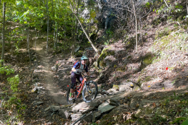 A mountain biker navigates a rocky trail surrounded by lush green trees. Dust is kicked up from the bike wheels as the rider leans into the turn on a narrow path that winds through the forest. The sunlight filters through the leaves, creating a vibrant and dynamic outdoor scene. Maple Wind Farm mountain bike trail.