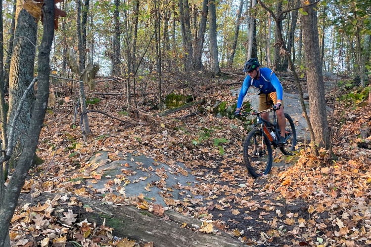 A person riding a mountain bike through a forest trail covered with autumn leaves. The scene features tall trees and rocky terrain, with sunlight filtering through the foliage, creating a warm, golden glow.