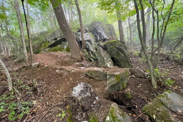 A forested area with large rocks and boulders, featuring a dirt path partially obscured by vegetation. Tall trees surround the scene, and small pink flags are visible along the path, indicating a trail or designated area. The atmosphere is misty, creating a serene and natural setting. Maple Wind Farm mountain bike trail.