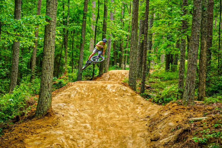 A mountain biker performs a jump on a dirt trail surrounded by green trees in a forest. The biker is mid-air, showcasing an impressive trick, while the path in the background features soft, sandy soil.