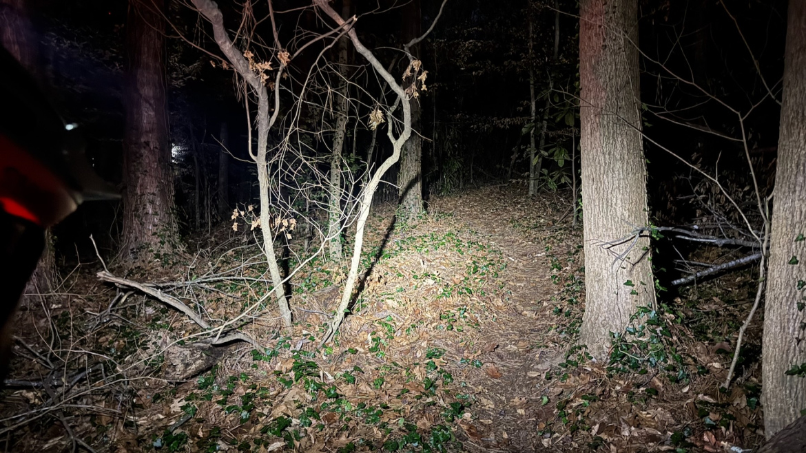 A dimly lit forest path at night, surrounded by tall trees and scattered leaves and underbrush. A flashlight beam illuminates the trail, revealing a winding pathway obscured by branches and greenery. The scene conveys a sense of mystery and adventure in a natural setting.