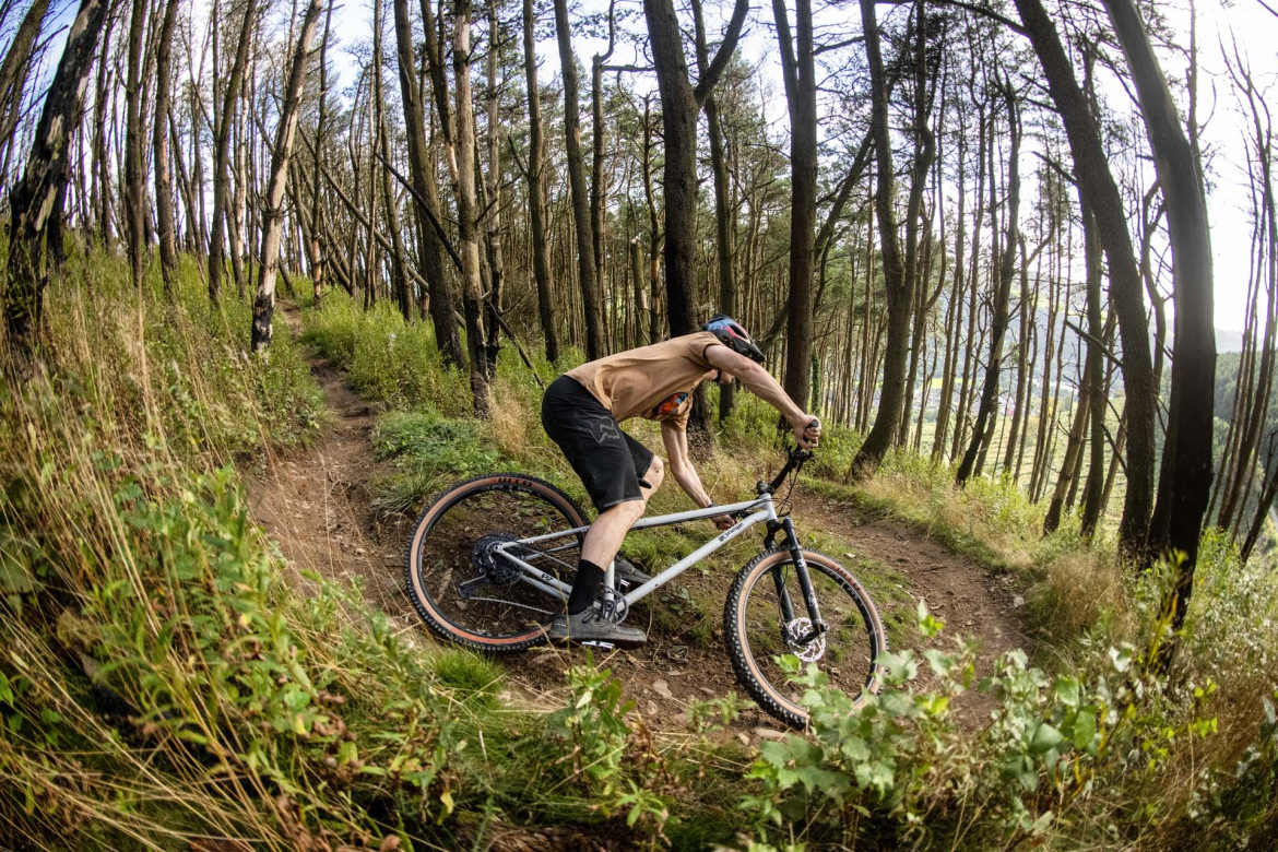A mountain biker navigating a winding trail through a dense forest. The rider is leaning forward, focused on the path ahead, while surrounded by tall trees and lush greenery.