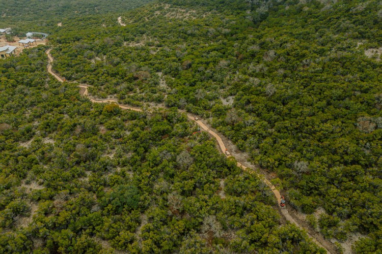 Aerial view of a winding dirt pathway meandering through a dense green landscape, surrounded by various types of foliage and trees. In the distance, there are structures partially visible among the trees, suggesting a natural or recreational area.