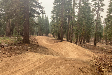 A dirt biking trail winding through a dense forest of tall pine trees, featuring mounds and turns in the path. The ground is a mix of dirt and gravel, with signs of recent maintenance. The atmosphere appears overcast, suggesting a smoky or hazy environment. Tyrolian Downhill mountain bike trail.