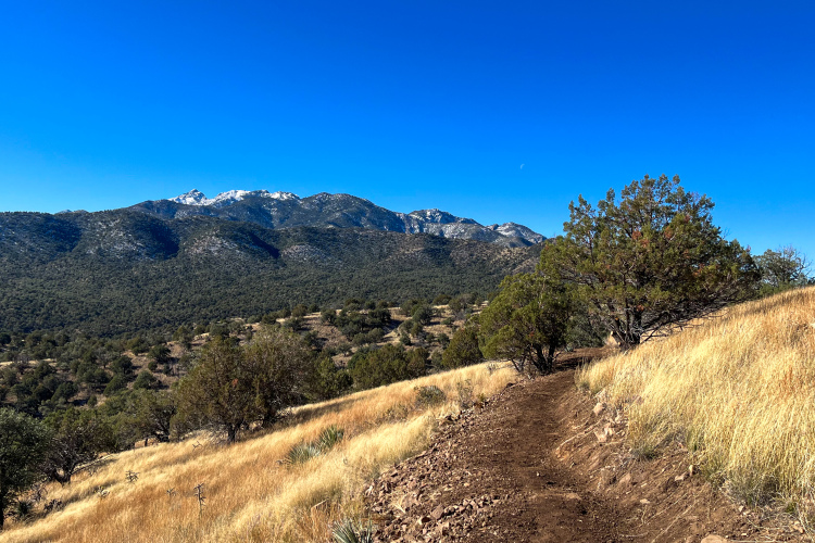 A scenic view of a hiking trail winding through golden grass and rocky terrain, with a backdrop of green hills and snow-capped mountains under a clear blue sky.