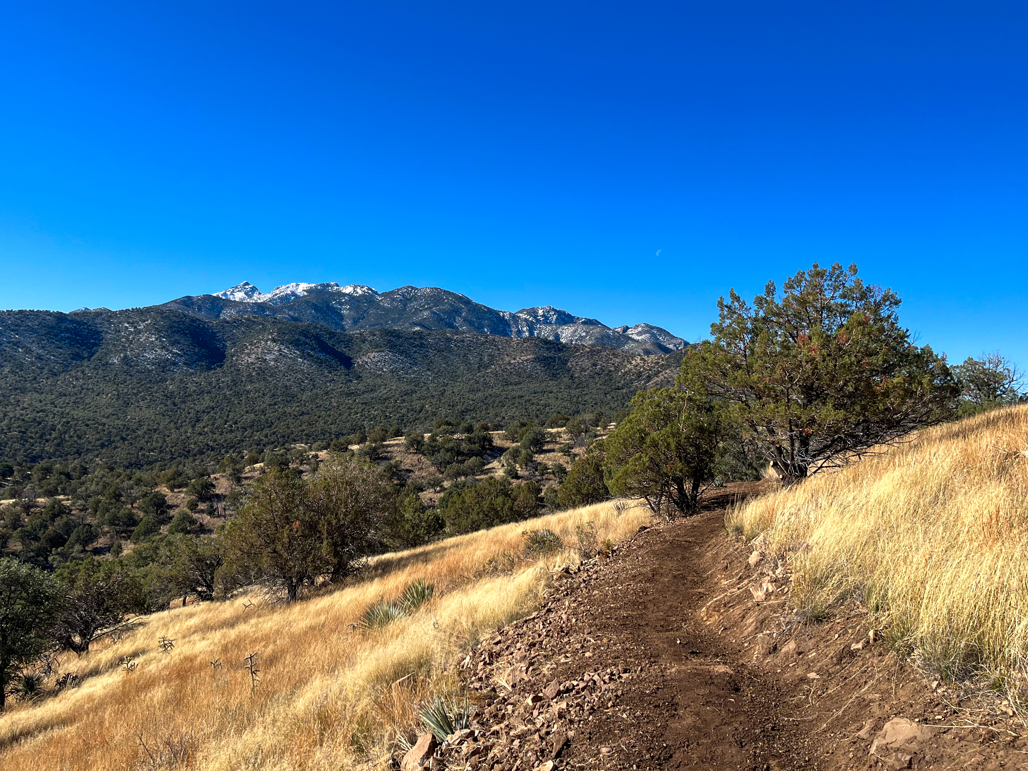Arizona Trail reroutes dirt road sections onto new singletrack as