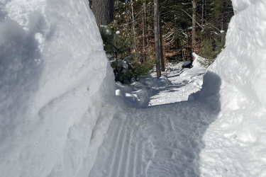 Snowy pathway between tall snowbanks and trees, with blue sky visible above. The path is marked by footprints and tire tracks leading deeper into the snowy woods. Saxon Hill mountain bike trail.