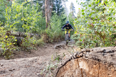 A mountain biker riding along a dirt trail surrounded by greenery, with fallen logs and tree roots visible in the foreground. Tyrolian Downhill mountain bike trail.