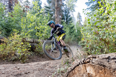 A mountain biker navigating a dirt trail surrounded by lush greenery and trees, with dust rising from the ground as he leans into a turn. A fallen log is visible in the foreground. Tyrolian Downhill mountain bike trail.