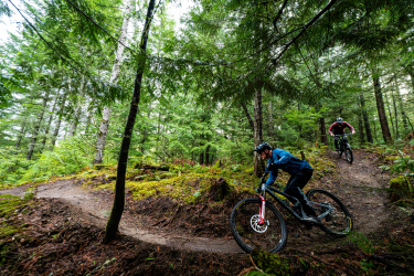 Two mountain bikers navigate winding trails in a lush green forest. The scene features tall trees, vibrant greenery, and a damp trail, suggesting an adventurous day of biking in nature. One rider is in the foreground wearing a blue jacket, while the other is slightly behind, dressed in red. Natural Delight mountain bike trail.
