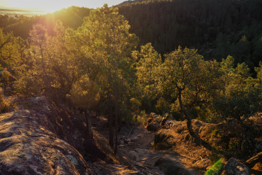 A scenic view of a sun setting over a forested landscape, with golden light filtering through the trees. The foreground features rocky terrain and paths winding through the greenery, creating a serene and tranquil atmosphere. Santa Coloma de Farners mountain bike trail.