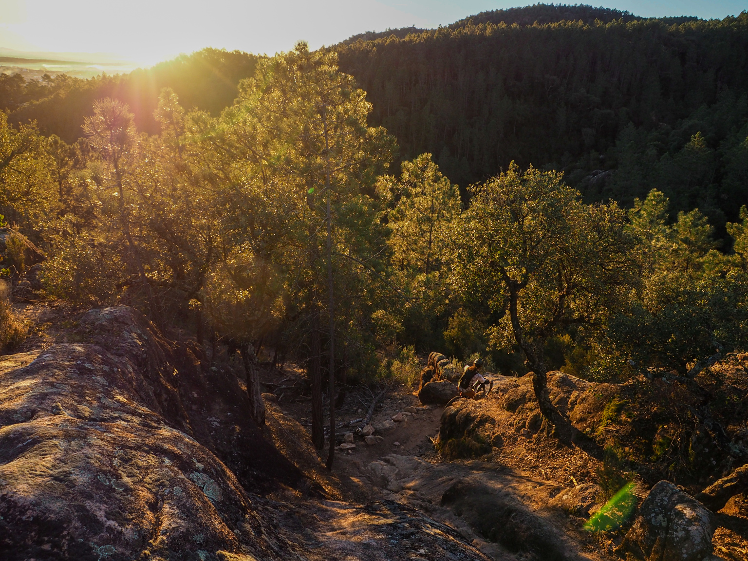 A scenic view of a sun setting over a forested landscape, with golden light filtering through the trees. The foreground features rocky terrain and paths winding through the greenery, creating a serene and tranquil atmosphere. Santa Coloma de Farners mountain bike trail.