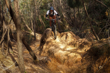 A mountain biker in protective gear jumps off a rocky outcrop on a forested trail surrounded by trees and foliage. The sunlight casts shadows on the ground, highlighting the uneven terrain. Santa Coloma de Farners mountain bike trail.