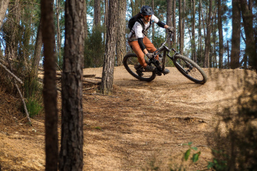 A mountain biker skillfully navigates a dirt trail, leaning into a turn among tall pine trees in a forest. The ground is covered with a layer of pine needles and dirt, while the sun filters through the foliage, creating a dynamic outdoor scene. Santa Coloma de Farners mountain bike trail.