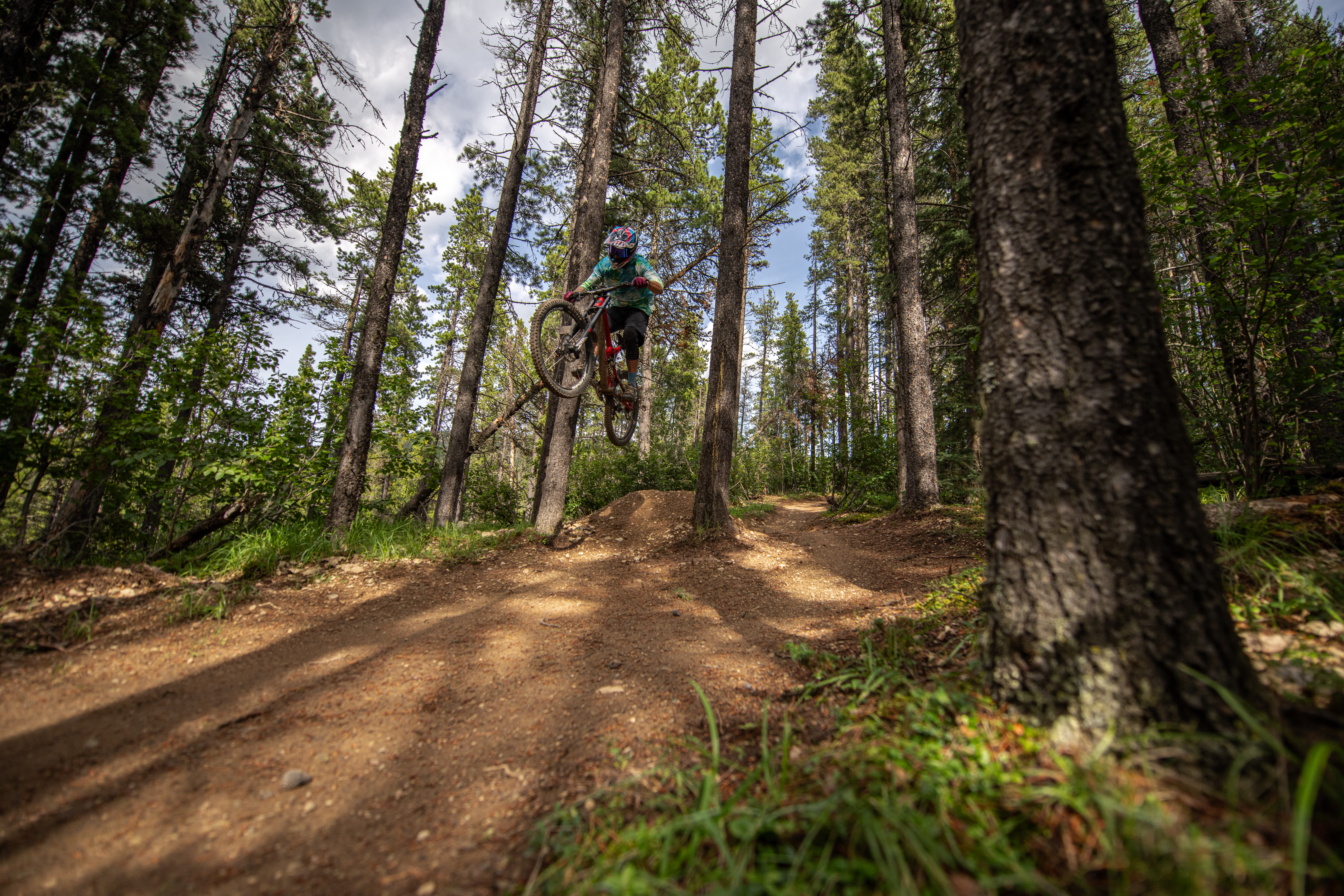 A mountain biker performs a jump on an off-road trail surrounded by tall pine trees and greenery. The rider is airborne above a dirt ramp, with the forest visible in the background under a partly cloudy sky. Canada Cup mountain bike trail.