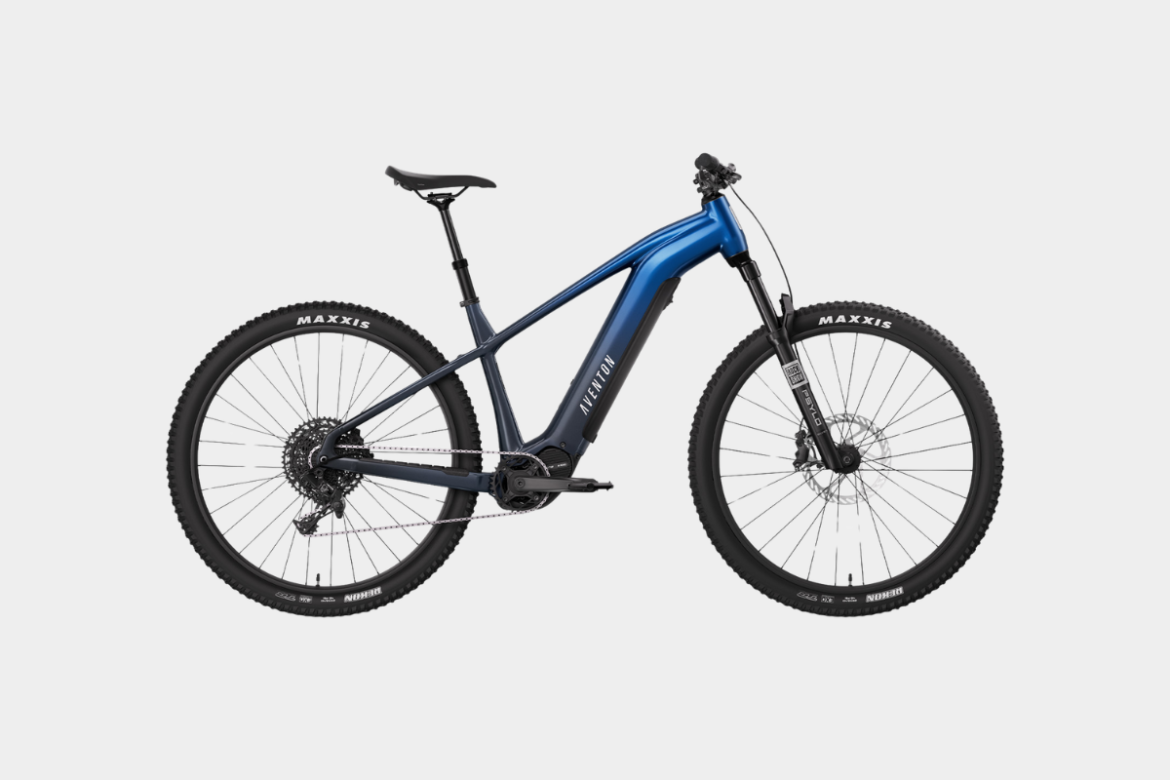 A sleek blue electric mountain bike with sturdy tires, disc brakes, and a lightweight frame, designed for off-road adventures. The bike showcases a modern design suitable for outdoor cycling.