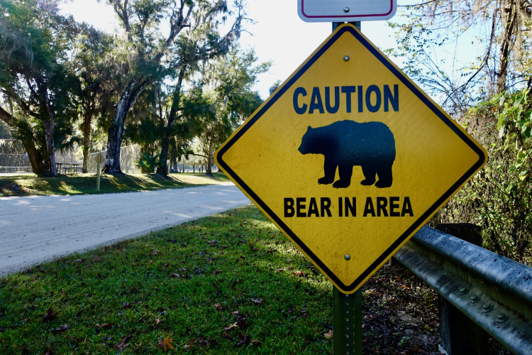 A yellow caution sign featuring a silhouette of a bear and the text "CAUTION BEAR IN AREA." The sign is positioned near a dirt road surrounded by trees and greenery.
